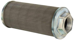 Flow Ezy Filters - 100 Mesh, 284 LPM, 75 GPM, 5.4" Diam, Female Suction Strainer without Bypass - 2-1/2 Port NPT, 12-1/2" Long - First Tool & Supply