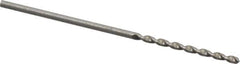 Walter-Titex - #56 130° High Speed Steel Jobber Drill - Bright Finish, Right Hand Cut, Parabolic Flute, Straight Shank, 38mm OAL, Standard Point - First Tool & Supply