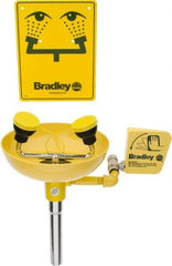 Bradley - Wall Mount, Plastic Bowl, Eye & Face Wash Station - 1/2" Inlet, 30 to 90 psi Flow, 3 GPM Flow Rate - First Tool & Supply