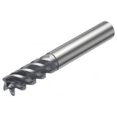 R216.24-12050GCC26P 1620 12mm 4 FL Solid Carbide End Mill - Corner Radius w/Cylindrical - Neck Shank - First Tool & Supply