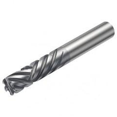 2P460-0600-NA 1630 6mm 6 FL Straight Center Cut w/Cylindrical Shank - First Tool & Supply