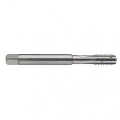 M5 x 0.8 Dia. - 6H - 4 FL - Carbide Semi-Bott Tap - Bright Finish-Coolant-Thru-FORM-C - First Tool & Supply