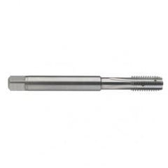 M10 x 1.5 Dia. - 6H - 4 FL - Carbide Semi-Bott Tap - Bright Finish-Coolant-Thru-FORM-C - First Tool & Supply