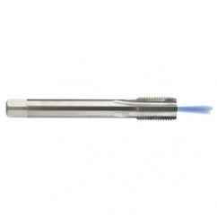 M12 x 1.75 Dia. - 6H - 4 FL - Carbide Semi-Bott Tap - Bright Finish-Coolant-Thru-FORM-C - First Tool & Supply