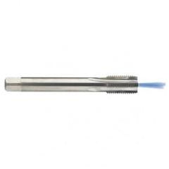 M16 x 2.0 Dia. - 6H - 4 FL - Carbide Semi-Bott Tap - Bright Finish-Coolant-Thru-FORM-C - First Tool & Supply