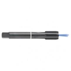 M12 x 1.75 Dia. - 6H - 4 FLX - Cobalt Semi-Bott White Ring Tap - Blk-Ox-Coolant-FORM-C - First Tool & Supply