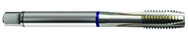 6-40 Dia. - 2B - 3 FL - Cobalt Spiral Point Plug Blue Ring Tap - Bright FORM-B DIN 374 - First Tool & Supply