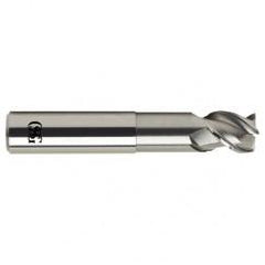 1 Dia. x 6 Overall Length 3-Flute .060 C/R Solid Carbide SE End Mill-Round Shank-Center Cutting-Uncoated - First Tool & Supply