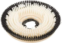 Clarke - 17" Diam Scrubbing Brush - 17" Machine, Black Pad, Nylon - First Tool & Supply