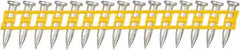 DeWALT - 9 Gauge 0.145" Shank Diam 3/4" Long Concrete Nails for Power Nailers - Steel, Zinc Finish, Smooth Shank, Angled Stick Plastic Collation, Round Head - First Tool & Supply