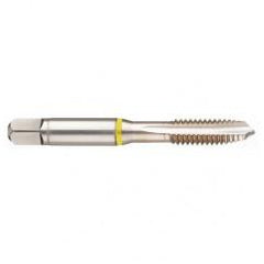 M20x2.5 6H 4-Flute Cobalt Yellow Ring Spiral Point Plug Tap-Bright - First Tool & Supply