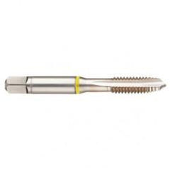 42377 2B 4-Flute Cobalt Yellow Ring Spiral Point Plug Tap-Bright - First Tool & Supply