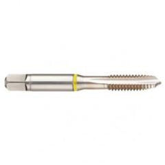 40241 2B 4-Flute Cobalt Yellow Ring Spiral Point Plug Tap-Bright - First Tool & Supply