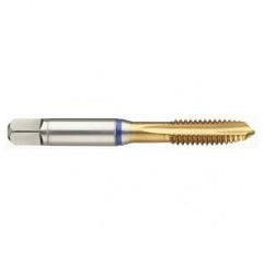 42381 2B 4-Flute PM Cobalt Blue Ring Spiral Point Plug Tap-TiN - First Tool & Supply