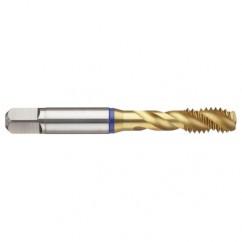 M16x2.0 6H 4-Flute PM Cobalt Blue Ring Semi-Bottoming 40 degree Spiral Flute Tap-TiN - First Tool & Supply