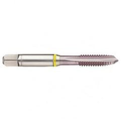 M14x2.0 2B 3-Flute Cobalt Yellow Ring Spiral Point Plug Tap-MolyGlide - First Tool & Supply