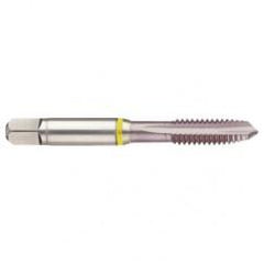 43228 2B 3-Flute Cobalt Yellow Ring Spiral Point Plug Tap-MolyGlide - First Tool & Supply