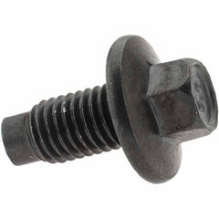 Value Collection - Pilot Point Oil Drain Plug - M12 Thread - First Tool & Supply