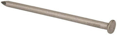 Made in USA - 20D, 6 Gauge, 4" OAL Common Nails - Smooth Shank, T304 Stainless Steel - First Tool & Supply