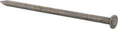 Value Collection - 20D, 6 Gauge, 4" OAL Common Nails - Ring Shank, Grade 2 Steel, Bright Finish - First Tool & Supply