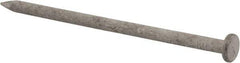 Value Collection - 16D, 8 Gauge, 3-1/2" OAL Common Nails - Ring Shank, Grade 2 Steel, Galvanized Finish - First Tool & Supply