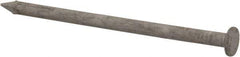 Value Collection - 8D, 10 Gauge, 2-1/2" OAL Common Nails - Ring Shank, Grade 2 Steel, Galvanized Finish - First Tool & Supply