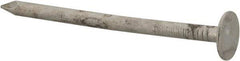 Value Collection - 11 Gauge, 2" OAL Roofing Nails - Ring Shank, Grade 2 Steel, Galvanized Finish - First Tool & Supply