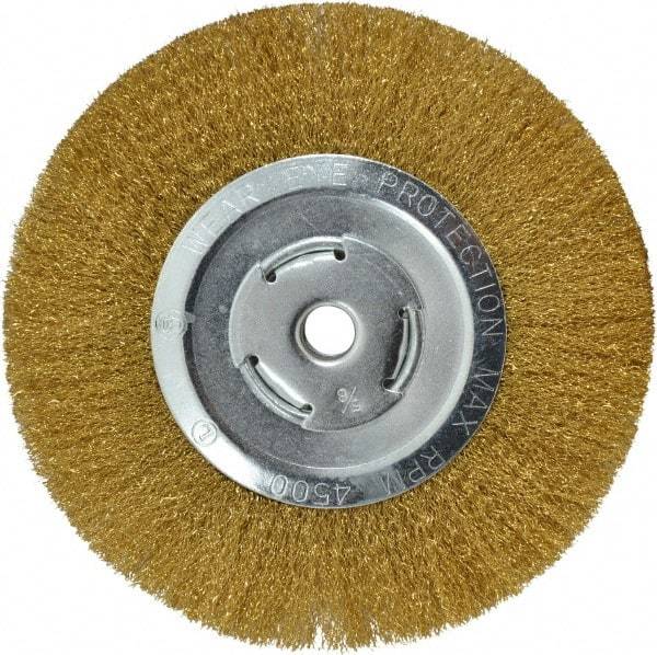 Value Collection - 8" OD, 5/8" Arbor Hole, Crimped Brass Wheel Brush - 1/2" Face Width, 1-3/4" Trim Length, 0.008" Filament Diam, 4,500 RPM - First Tool & Supply