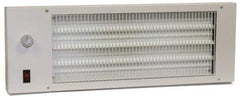 TPI - 22-3/4" Long, 580 BTU Radiant Heat Panel - 120 Volts, 170 Watts - First Tool & Supply