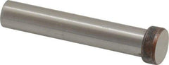 Dayton Lamina - 1/2" Head Diam, 3/8" Shank Diam, Basic Head, A2 Grade Tool Steel, Solid Mold Die Blank & Punch - 3/16" Head Height, 2-1/4" OAL, Blank Punch, Regular (KPB) Series - First Tool & Supply