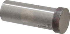 Dayton Lamina - 7/8" Head Diam, 3/4" Shank Diam, Basic Head, A2 Grade Tool Steel, Solid Mold Die Blank & Punch - 1/4" Head Height, 2-1/4" OAL, Blank Punch, Regular (KPB) Series - First Tool & Supply