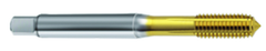 M6 x 1.0 Dia. - 6HX - 4 FL - Cobalt Semi-Bott Tap-TiN FORM-C DIN 371 - First Tool & Supply