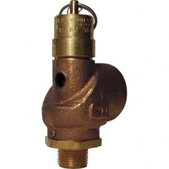 Control Devices - 1/2" Inlet, 3/4" Outlet, ASME Safety Valve - First Tool & Supply