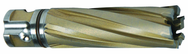 19MM X 50MM CARBIDE CUTTER - First Tool & Supply