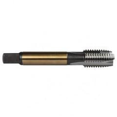 M10X1.5 3FL 6H CO SPPT PL TAP - First Tool & Supply