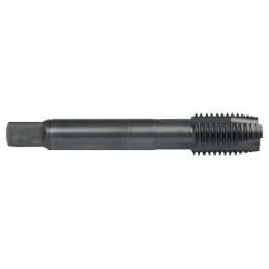 M12X1.75 3FL 6H HS SPPT PLUG TAP - First Tool & Supply