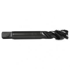 M5X0.80 3FL 6H CO SPFL TAP-S/O - First Tool & Supply