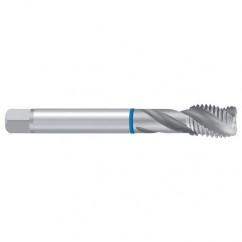 G 1/4 ISO228 2ENORM-VA Sprial Flute Tap - First Tool & Supply