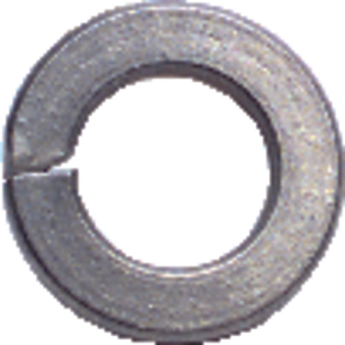 8 Bolt Size - Zinc Plated Carbon Steel - Lock Washer - First Tool & Supply