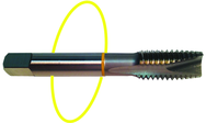 3/4-16 Dia. - H3 - 3 FL - Std Spiral Point Tap - Yellow Ring - First Tool & Supply