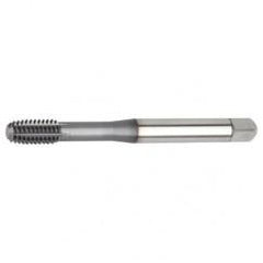 M12x1.75 D11 - Semi-Bottoming Hand Tap - First Tool & Supply